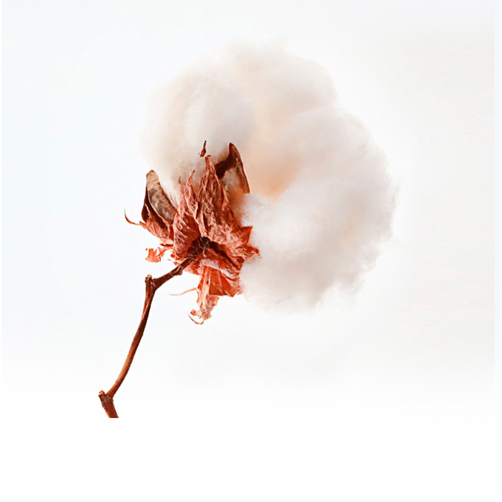 δ????-3_06.jpg δ????-3_06.jpg